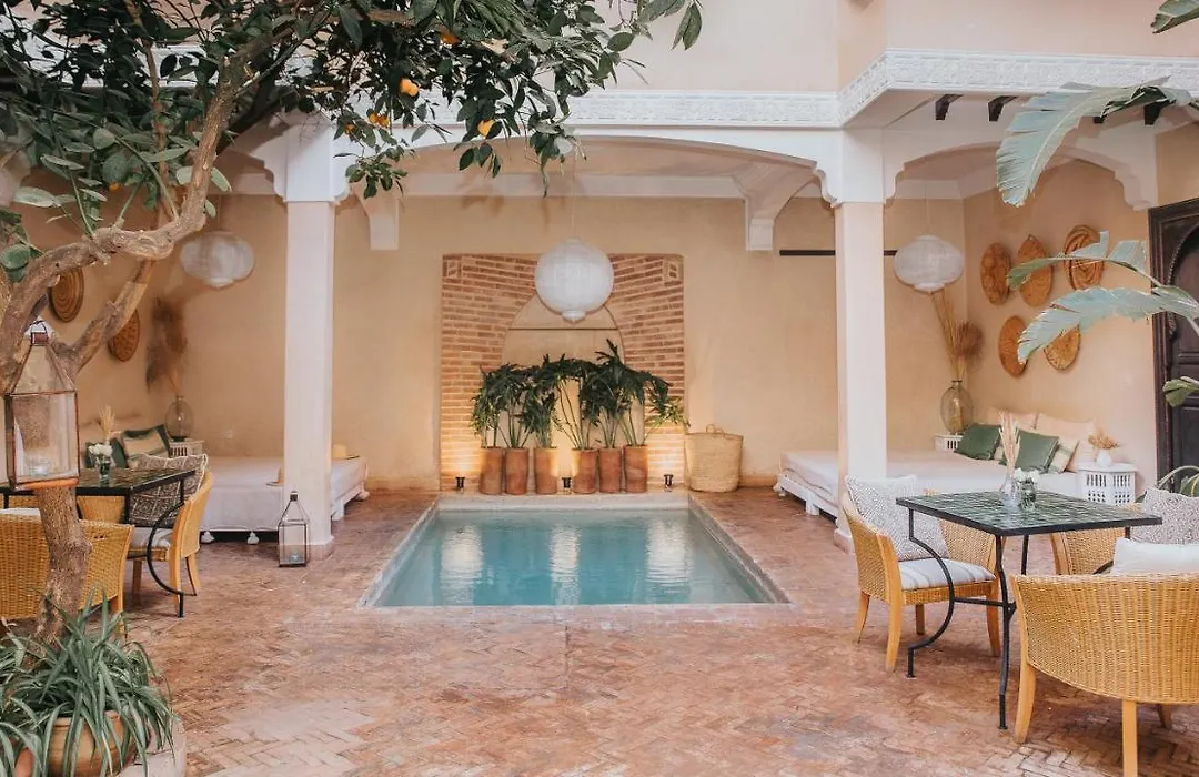 Riad l'Oiseau du Paradis-1